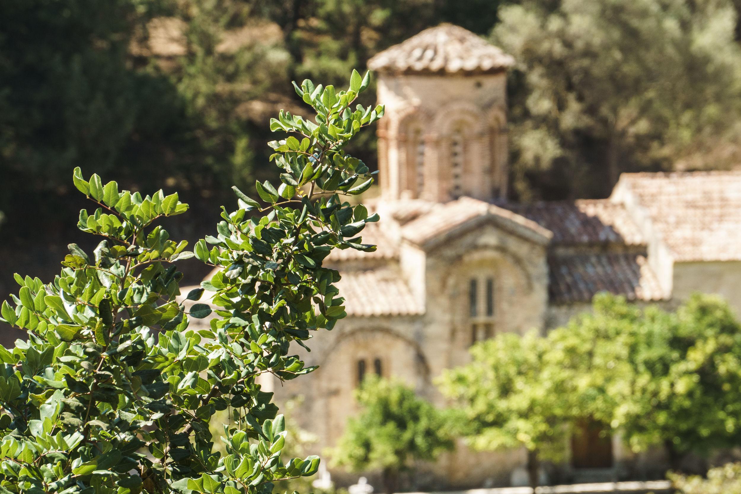 diktynna-travel-crete-monastery-5